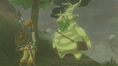 hestu korok forest|Korok Seed Guy: All Three Hestu Locations In 'Breath of The Wild'.